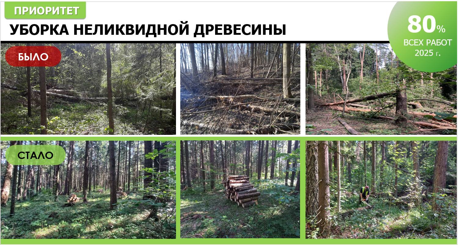 Санитарные рубки в западном Подмосковье планируются в рамках программы Здоровый и чистый лес Программа реализуется в Московской области в 2025 2027 годах она предполагает комплексный подход к оздоровлению лесов которые занимают более 40 территории нашего региона В уходящем году уборку неликвидной древесины произвели на площади 6 тыс га в 2026 м запланирована рубка на территории 6 5 тыс га в 2027 м на 8 тыс га В приоритете санитарные рубки рядом с населёнными пунктами и вдоль дорог таких как Ильинское Подушкинское Красногорское Минское Дмитровское Новорижское Рублёво Успенское Волоколамское Ленинградское шоссе Северный обход Одинцово М 7 Волга сообщил председатель Комитета лесного хозяйства Московской области 15 санитарных рубок планируют лесничества 5 муниципалитеты остальные 80 производятся по обращениям жителей В проекте Здоровый и чистый лес проводят т н рубки ухода удаляя возрастные деревья 60 80 лет которые по мнению лесников подвержены болезням и менее устойчивы к неблагоприятным погодным условиям Подписаться на канал Telegram MAX