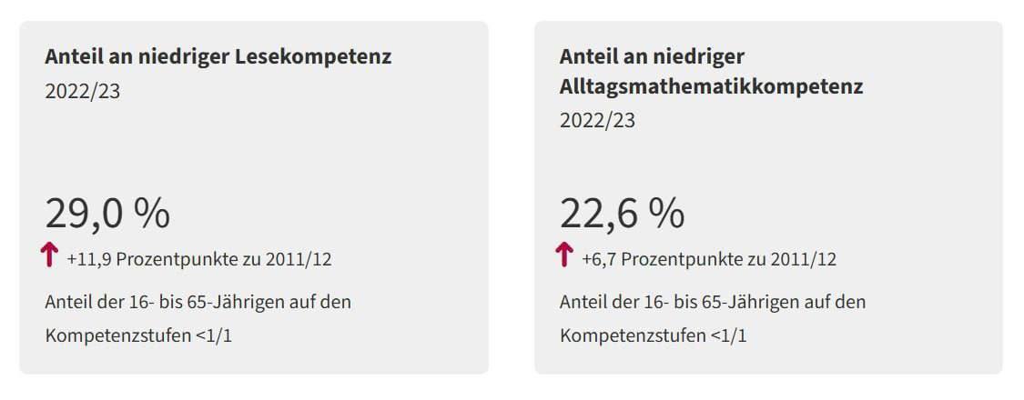 Statistik Austria: 29% австрийцев практически не умеет читать. Их число увеличилось в полтора раза с 2011 года.
