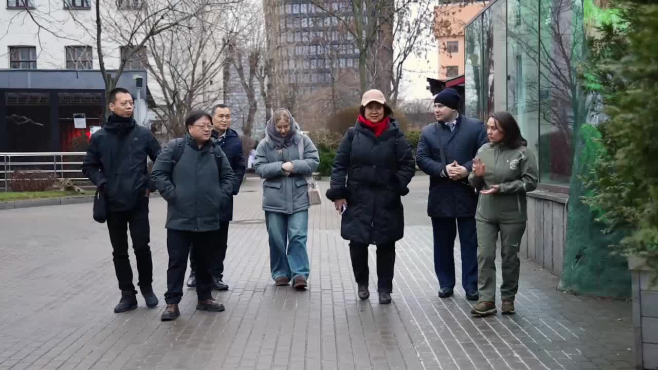 Китайские специалисты высоко оценили условия содержания больших панд в Московском зоопарке