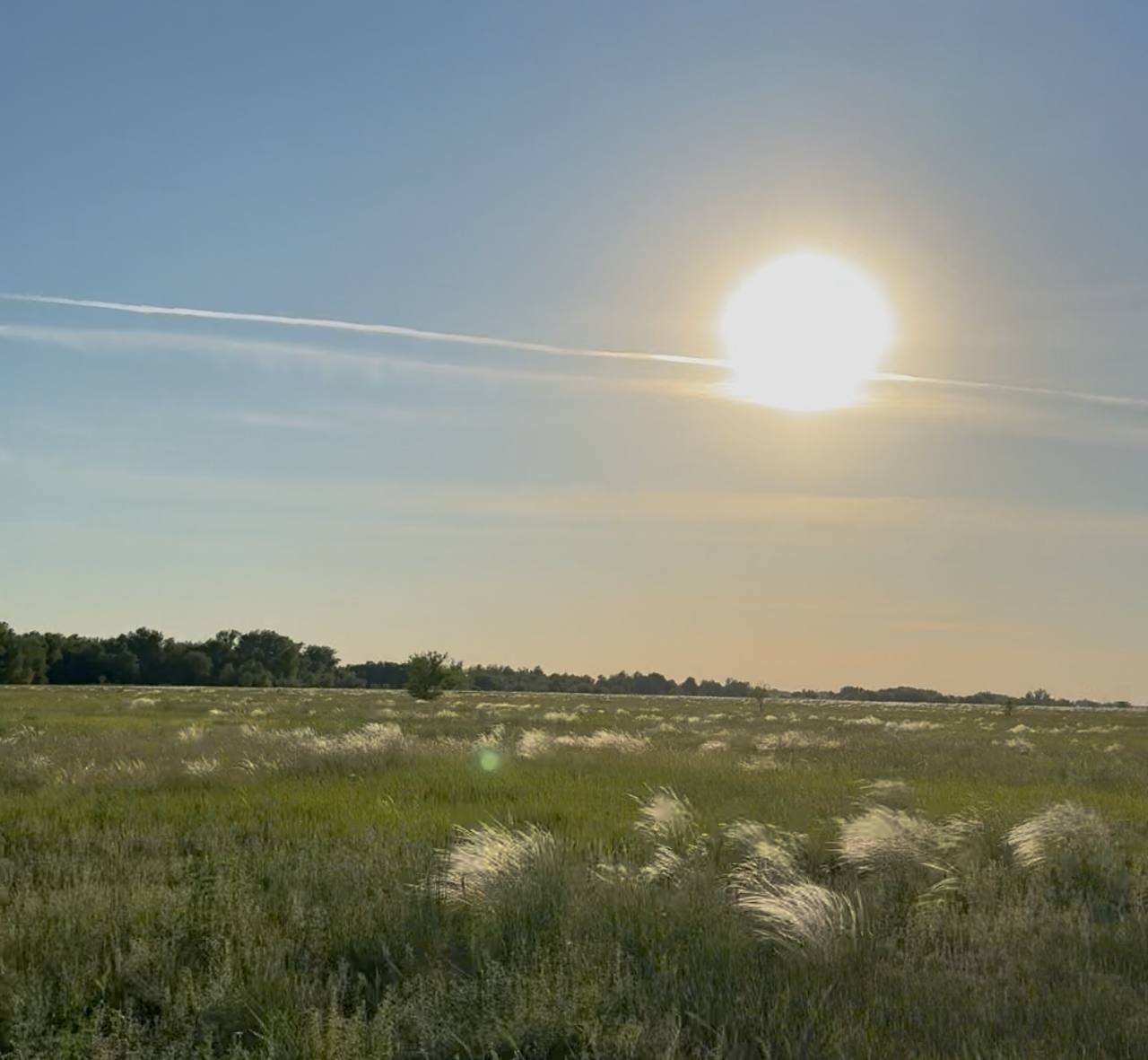 Пекло над степью: Казахстан встречает июнь с аномальной жарой до +43°C Казахстан готовится к экстремально жаркому июню: синоптики предупреждают о температурных рекордах до +43°C. По данным РГП «Казгидромет», в южных и юго-западных регионах страны, включая Жамбылскую, Кызылординскую и Туркестанскую области, ожидается сильная жара, особенно в дневные часы. Ночные температуры в этих регионах также будут высокими, достигая +20…+28°C. В других частях страны прогнозируется неустойчивая погода с резкими перепадами температур. На севере и в центре Казахстана в начале июня ожидается дневная температура от +25 до +30°C, с понижением до +18…+25°C к середине первой декады. В восточных регионах дневные температуры составят +22…+30°C, с возможным повышением до +35°C на юге. В Алматинской и Жетысуской областях прогнозируется постепенное повышение дневных температур до +30…+35°C. Синоптики также предупреждают о возможных кратковременных грозовых дождях, граде и пыльных бурях в течение месяца.