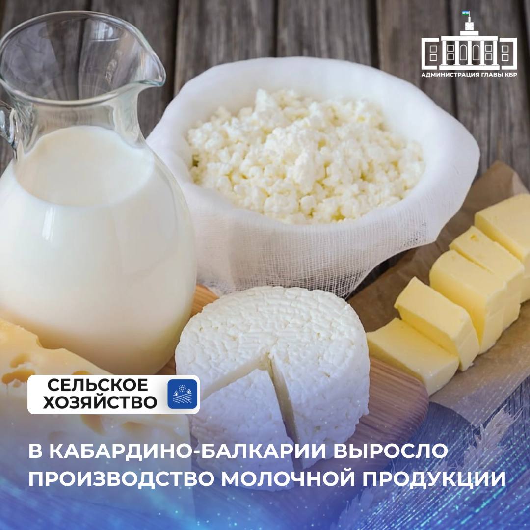 По сравнению с аналогичным периодом прошлого года производство питьевого молока за пять месяцев 2025 года выросло на 19,5% и составило свыше 18 тысяч тонн. Увеличили выпуск сливочного масла и спредов – 817 тонн. Это на 21% больше, чем годом ранее. При этом на масло сливочное приходится порядка 25% от указанного объема. Также рост фиксируется в производстве сыров и творога. Он составил 3,2%. В натуральном выражении с конвейеров предприятий вышло почти 1,9 тыс. тонн.