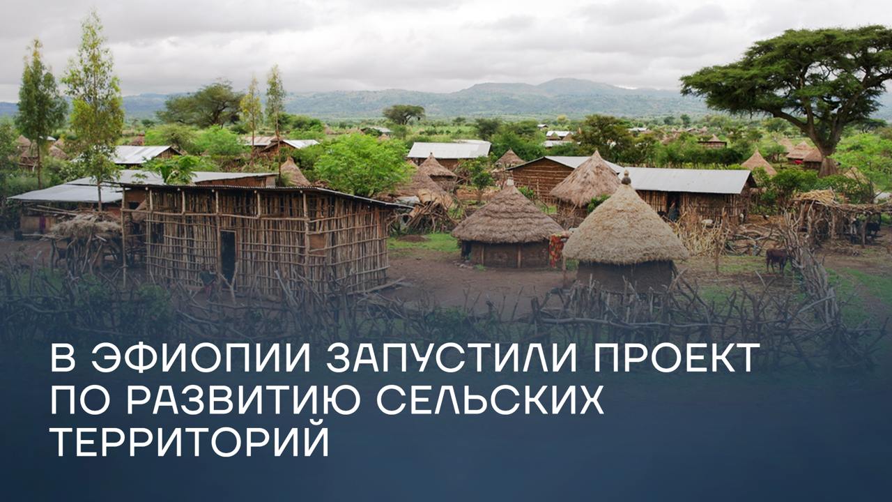 Премьер-министр Эфиопии Абий Ахмед заявил о начале реализации проектов по развитию сельской местности, которые объединят дороги, фермы, рынки и инфраструктуру, чтобы улучшить жизнь на селе и связать его с городами. Программа уже стартовала в деревне Хамидо Кебеле. В ходе визита в регион Абий Ахмед отметил вклад местных фермеров в развитие сельского хозяйства. Он привел в пример одного из них, который, по словам премьер-министра, создал образцовое хозяйство.