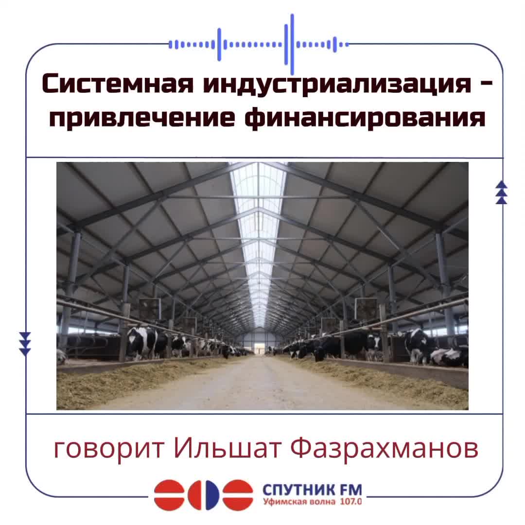 Минсельхоз определил молочную отрасль как ключевую для АПК Башкирии до 2030 года