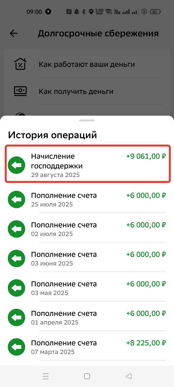 Более 1,8 миллиона россиян, участвующих в программе долгосрочных сбережений «СберНПФ», получат господдержку за 2024 год. Суммы государственной доплаты уже отображены в «СберБанк Онлайн» и на сайте фонда, ожидать поступления средств на счета можно в августе.  Общая сумма поддержки составит около 32 млрд рублей, что в среднем означает почти 18 тысяч рублей на каждого участника. Максимальная годовая выплата достигнет 36 тысяч рублей и будет доступна 670 тысячам граждан.  Эти средства станут дополнением к уже полученным 17,8% годовых в виде инвестиционного дохода от программы.