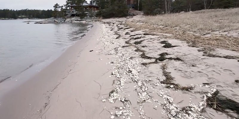 Финский полуостров заполонило вредное белое вещество  Его заметили на пляже у города Ханко, расположенного на побережье Балтийского моря. Предварительные исследования показали, что вещество является умеренно вредным, однако его точный состав и происхождение остаются неизвестными. Пока же местным жителям всё же рекомендовали избегать пляжей, где оно было найдено.  Специалисты предполагают, что загадочное вещество может оказаться парафином. Тем не менее, для точного определения его природы необходимы дополнительные исследования.