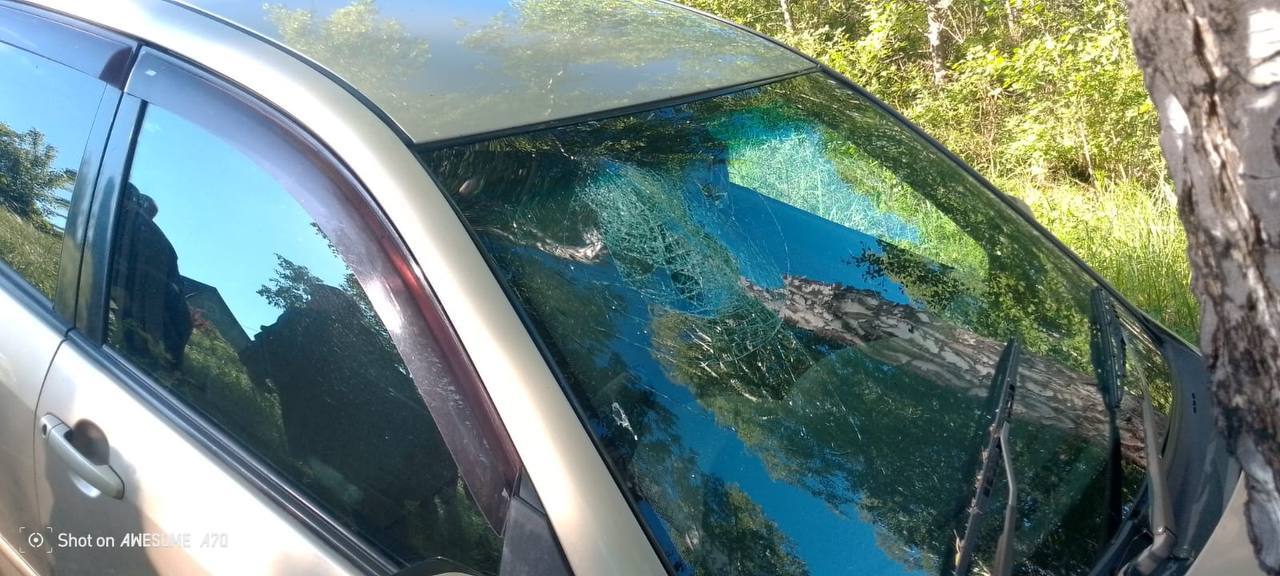 Спасатели помогли пожилой паре, чей автомобиль слетел в кювет в СНТ «Алмаз» Из-за плохих погодных условий водитель не справился с управлением — машина вылетела с трассы и врезалась в дерево. В салоне находилась пожилая супружеская пара. Спасатели оперативно прибыли на место, извлекли пострадавших из автомобиля и оказали первую помощь. Водитель с травмами был госпитализирован. Для подъёма машины использовали спецтехнику, сообщили в управлении Алтайского края по ГОЧС И ПБ. ТОЛК