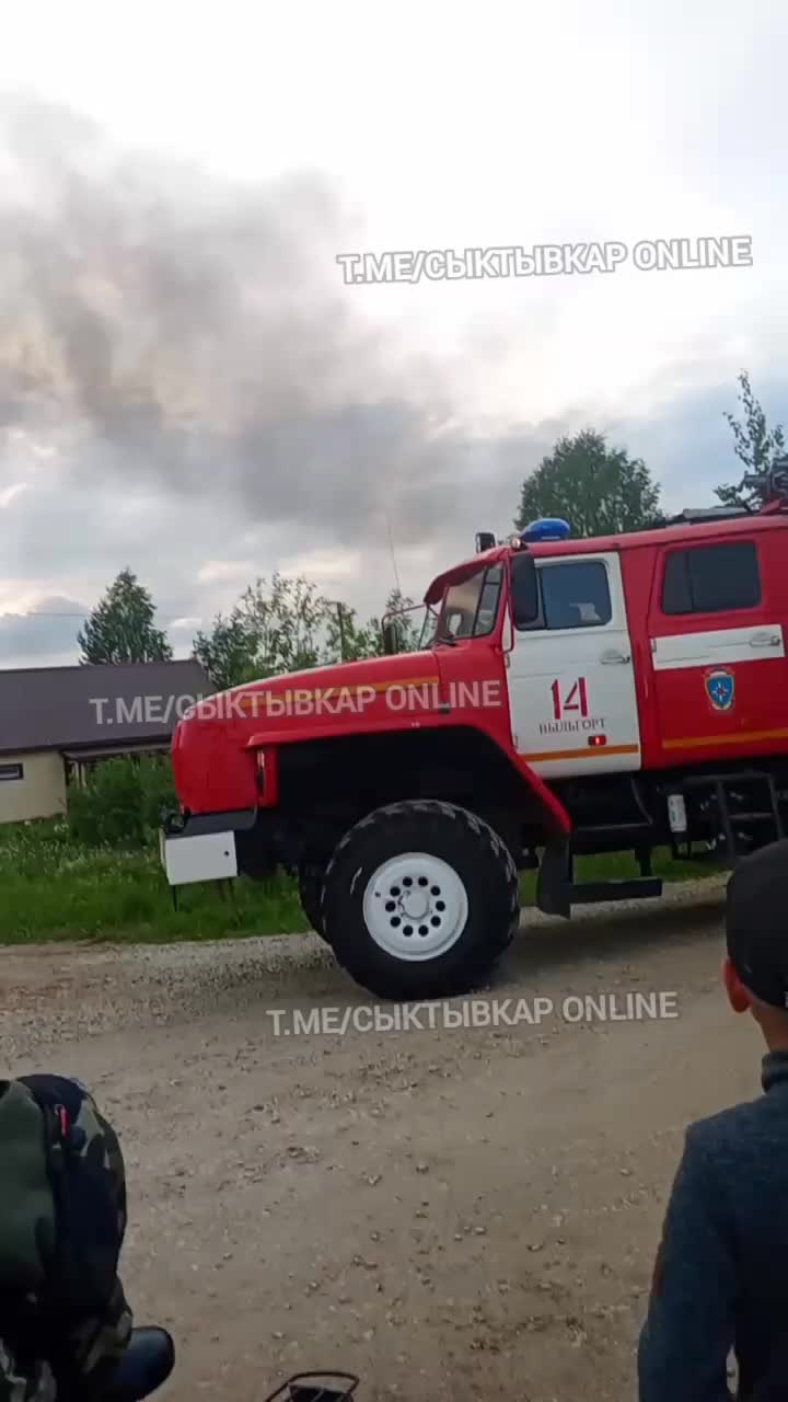 Лесной пожар в Воронежском заповеднике ликвидирован после недели борьбы