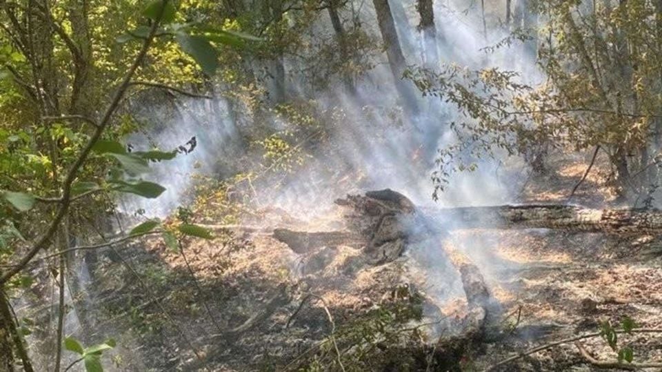 В Бахчисарайском районе Крыма горел лес СИМФЕРОПОЛЬ, 8 июн - РИА Новости Крым. В Бахчисарайском районе Крыма сгорело 500 квадратных метров леса. Об этом сообщили в республиканском Главке МЧС России. По данным спасателем, огонь вспыхнул в воскресенье около 12:35. "Тушение пожара осложняло труднодоступная и сложно-пересеченная местность, устойчивая жаркая погода. Площадь возгорания составила 500 квадратных метров", - сказано в сообщении. С огнем боролись 73 специалиста и 16 единиц техники, в том числе от 1 пожарно-спасательного отряда, специализированного отряда Главного управления МЧС России по Республике Крым и лесоохотничьего хозяйства. Пожар локализован в 16:00, уточнили в МЧС. Как сообщила министр экологии и природных ресурсов Крыма Ол... Подробнее>>>