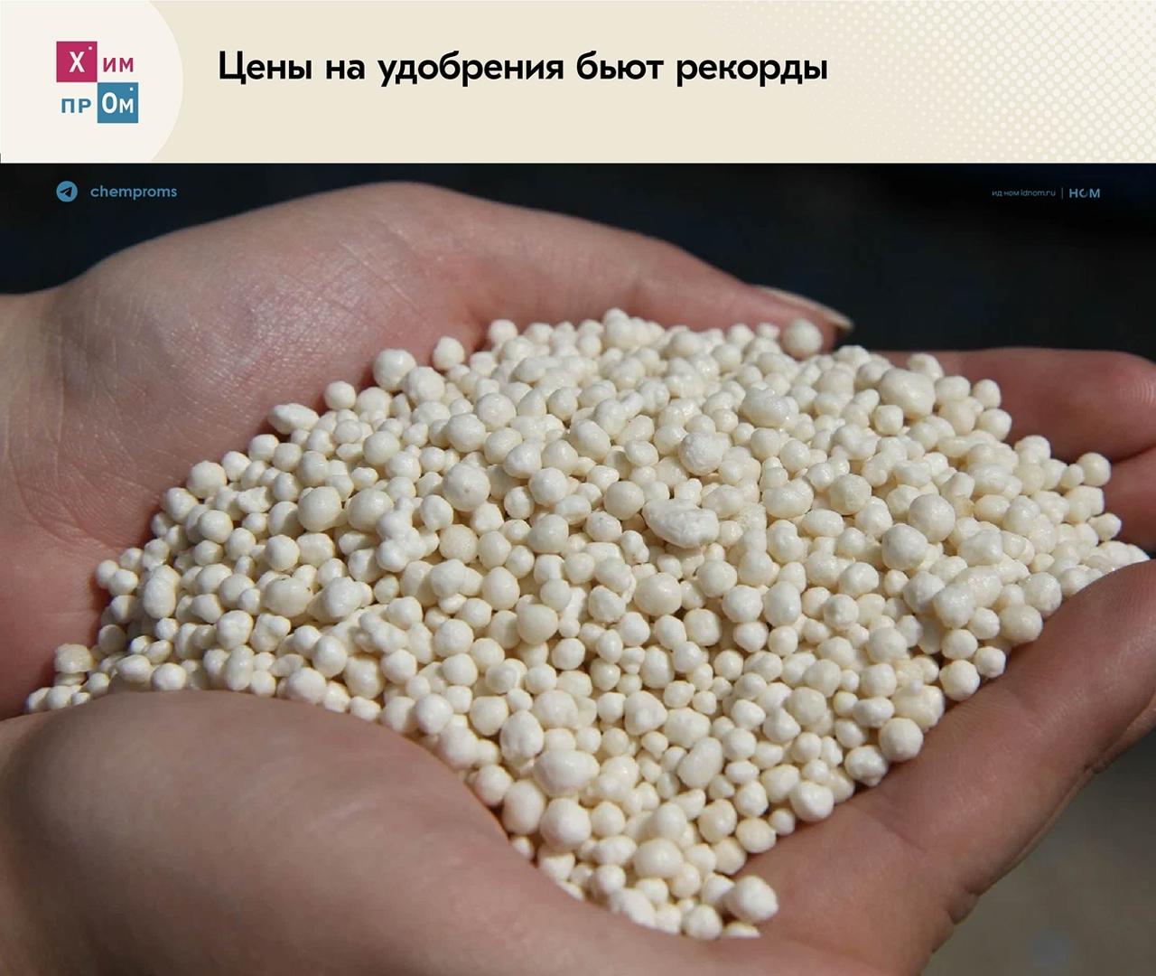 Августовские цены на удобрения обновили максимумы По данным Всемирного банка цены на азотные фосфорные и смешанные удобрения на мировом рынке в августе 2025 года продолжили расти обновив максимумы с 2022 года До этого резкий скачок цен на фоне введённых Евросоюзом пошлин на российские удобрения был зафиксирован в июле этого года Так средняя стоимость одной тонны карбамида в мире за прошлый месяц увеличилась на 2 4 по отношению к июлю и составила 507 7 Цены на комплексные удобрения на основе азота и фосфора увеличились примерно на 8 до максимальных с мая 2024 года 795 1 за тонну Стоимость фосфорных удобрений увеличилась до 662 9 Значение больше указанного последний раз было зафиксировано в октябре 2022 года Напомним в конце июня рейтинговое агентство Fitch Ratings пересмотрело краткосрочные прогнозы по ценам на основные виды удобрений в 2025 2026 годах в сторону их увеличения Химпром