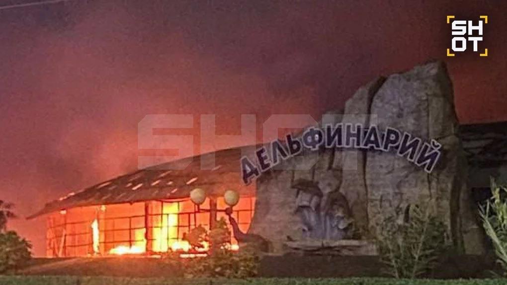 В Ейске загорелось здание дельфинария и крокодиловой фермы Пожар охватил практически все сооружение на улице Шмидта но люди не пострадали В соцсетях появились сообщения о возможной гибели животных однако в зоопарке опровергли эти сведения крокодилов вывезли заранее из за закрытия сезона Причины возгорания уточняются рассматривается версия поджога bg ru bg people people news 29470 zdanie delfinariya Большой Город