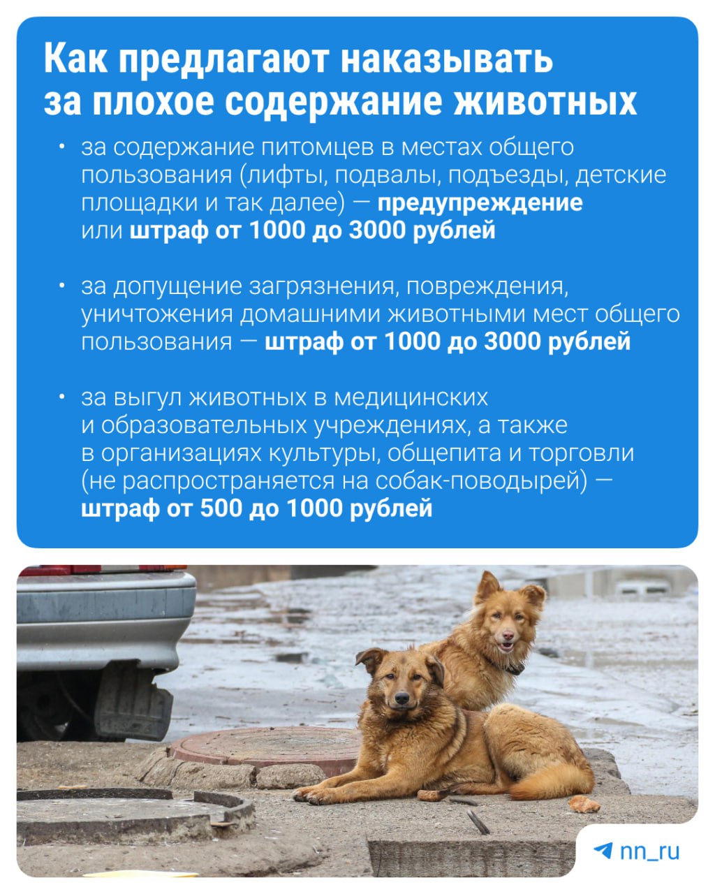Размеры штрафов за плохое содержание животных начали определять в Нижегородской области. Новые требования к содержанию домашних животных утвердили в конце прошлого года. Теперь Заксобрание собирается утвердить санкции за несоблюдение новых правил. По большей части нововведения касаются хозяев собак. А вы как думаете, штрафы помогут бороться с нерадивыми хозяевами? Подпишись Предложи новость