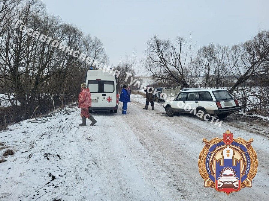 Под Новомосковском пьяный водитель без прав устроил ДТП  14 февраля в 12:40 на ул. Пролетарской поселка Каменецкий 49-летний мужчина, не имея права на управление транспортными средствами и находясь в состоянии алкогольного опьянения  0.732 мг/л , управляя автомобилем «ВАЗ-21043», по предварительной информации, не справился с управлением и выехал на обочину с последующим наездом на припаркованные вдоль проезжей части автомобили «Рено Сандеро» и «ВАЗ-21041».  В результате ДТП различные травмы получил пассажир автомобиля «ВАЗ-21043» - 47-летняя женщина, которая была госпитализирована.  Источник