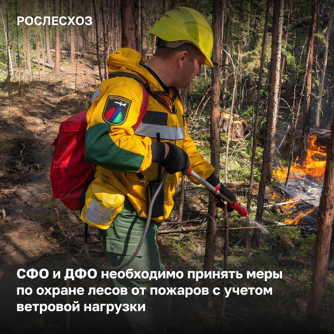 На заседании Комиссии Рослесхоза по ЧС и ПБ обсудили лесопожарную обстановку в регионах Сибирского и Дальневосточного федеральных округов. «Вчера на юге Сибирского федерального округа наблюдалась сильная ветровая нагрузка, которая осложняла тушение действующих лесных пожаров. На Республику Хакасия и Красноярский край пришелся наибольший удар стихии. Благодаря слаженной работе, регионы удержали лесопожарную обстановку под контролем, не допустили перехода огня в населенные пункты и объекты экономики», - подчеркнул заместитель руководителя Рослесхоза Алексей Венглинский на заседании КЧС и ПБ. Сейчас в зоне значительной ветровой нагрузки находится Республика Бурятия и Забайкальский край. Замруководителя Рослесхоза Алексей Венглинский поручил регионам держать лесопожарную обстановку на контроле и предотвратить переход огня в населенные пункты и объекты экономики.