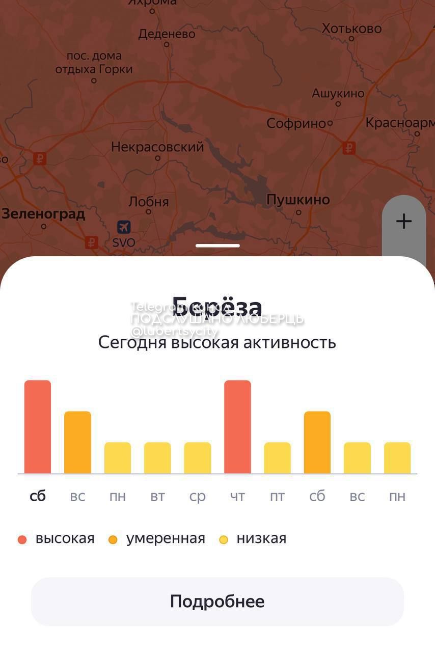 Сегодня в Москве высокая активность пыльцы. Роспотребнадзор рассказал о способах снизить проявления сезонной аллергии: чтобы минимизировать контакт с пыльцой, специалисты советуют соблюдать простые правила: держать окна закрытыми, ограничить время пребывания на улице, фильтровать воздух в помещениях и регулярно проводить влажную уборку. Подслушано Люберцы