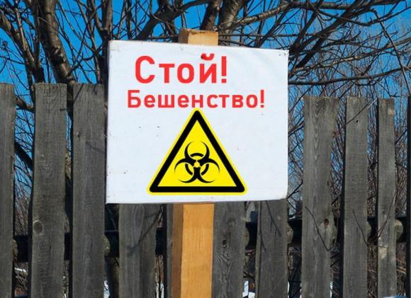 В деревне Петрушино Баганского района Новосибирской области зафикисровали очаг бешенства. Глава региона Андрей Травников ввел карантин. Очаг бешенства был зафиксирован на одной из частных ферм. Жителям деревни до 9 сентября запрещается перемещать, продавать и перевозить животных. Также запрещается проводить ярмарки и другие массовые мероприятия, где могут скапливаться животные. Сейчас на территории населенного пункта работают ветеринары и другие специалисты. #новосибирск