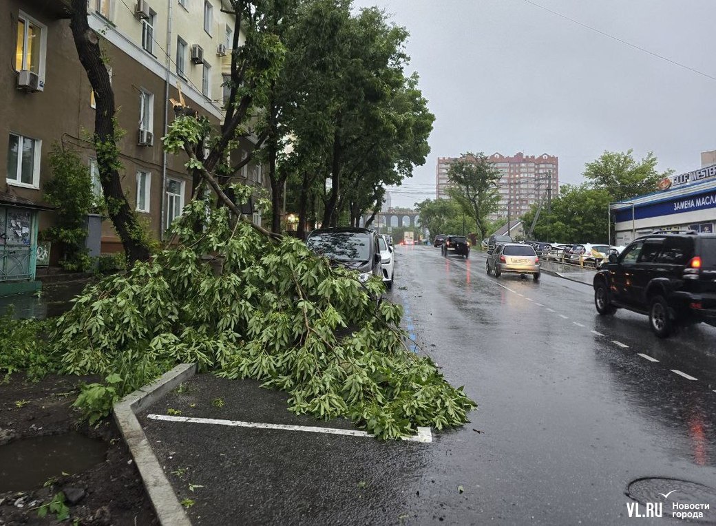 Владивосток наводит порядок после прохождения непогоды. По уточнённым данным синоптиков, в городе выпало 47 мм осадков. Сильный ветер порывами до 30 м/с повалил в городе 29 деревьев. На этот час все дороги в нормальном состоянии, подтоплений нет, серьезных разрушений и повреждений городской инфраструктуры не зафиксировано. Подробнее