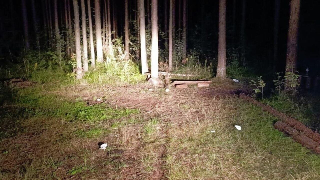 Школьник погиб при взрыве боеприпаса в Ленобласти 20 августа в лесу у деревни Келколово в Ленобласти трое подростков разожгли костёр От жара в земле сдетонировал боеприпас времён войны Одиннадцатилетний мальчик получил смертельные травмы и скончался по дороге в больницу двое его друзей не пострадали Прокуратура начала проверку всех обстоятельств трагедии nocommentsrussia1703
