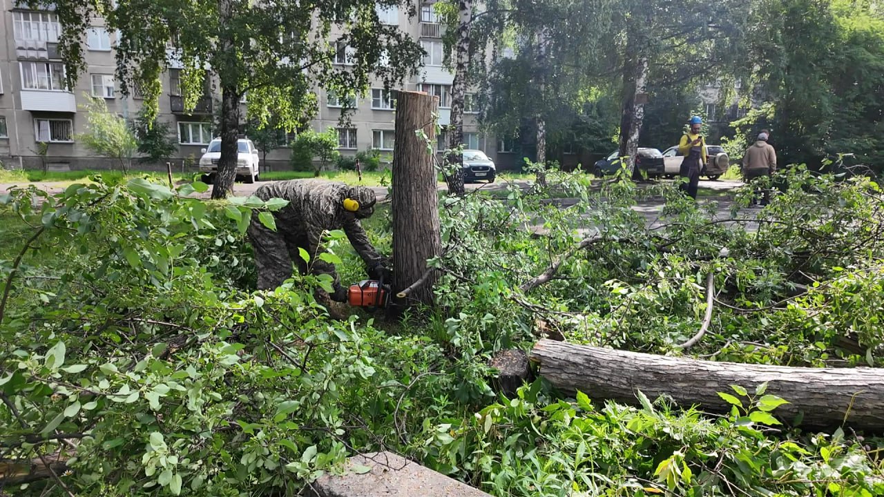 25 дворов Дзержинского района избавились от аварийных деревьев Сегодня во дворе на ул. Есенина, 63 по решению собственников убрали аварийные деревья, которые угрожали здоровью и имуществу жителей. Работы согласованы с районной администрацией и мэрией города Новосибирска. В Дзержинском районе такие работы провели уже на 25 адресах из 39 запланированных. Чтобы провести санитарную обрезку зеленых насаждений или убрать аварийные деревья во дворах, управляющие организации направляют в районные администрации пакет документов, прежде всего решение собрания собственников. Все аварийные деревья на придомовых территориях, которые представляют угрозу безопасности, сносят по запросу жителей. Также на общем собрании собственники могут принять решение о приобретении и высадке новых деревьев и кустарников. После проверки деревьев агрономы передают акты оценки в мэрию, где выдают разрешение на их снос, распил, пересадку. Срок действия данного разрешения – один год.