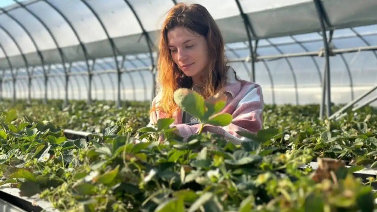 Рейтинг сильнейших главных агрономов России 2025 Опубликованы результаты третьего ежегодного рейтинга лучших управленцев в отрасли сельского хозяйства России Соль земли В этом году в рейтинг составленный Ассоциацией менеджеров при поддержке Россельхозбанка попали более 600 топ менеджеров в АПК со всей страны Подробности в материале