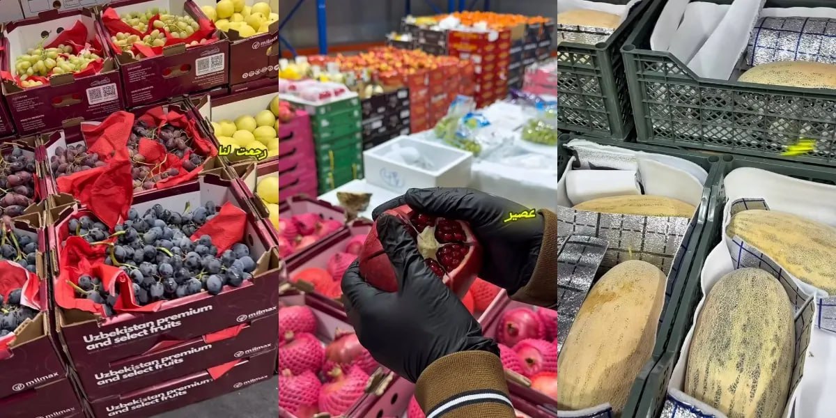 Из Узбекистана в Кувейт экспортирована 1 тонна фруктов Поставка осуществлена в рамках соглашения между компаниями из Бухарской области и Кувейта   kun uz ru 66517989 Официальные страницы Kun uz Telegram Facebook Instagram Youtube