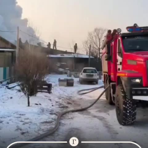 Пожар в приюте для животных в Хакасии: спасены 150 кошек и 15 собак