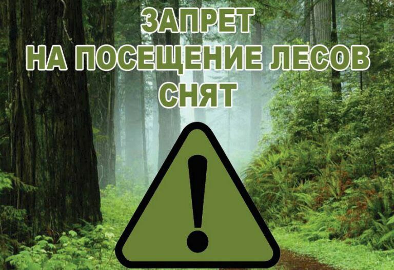 В соответствии с приказом комитета природных ресурсов лесного хозяйства и экологии Волгоградской области от 21 октября 2025 г номер 1361 ОД с 22 октября 2025 г ранее введённое ограничение на посещение лесов СНЯТО