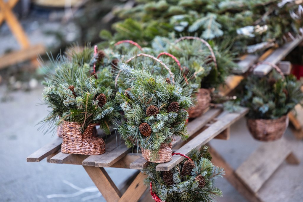 Новогоднюю ёлку могут приобрести жители Владивостока по 19 адресам Ёлочные базары и автолавки расположены в разных районах До 31 декабря включительно продажа осуществляется по следующим адресам Верхнепортовая 68 два места Воронежская 1 Жигура 48 пр Красного Знамени 90 пр Красного Знамени 114 два места Лермонтова 75 Нахимова 1 Полярная 1 Светланская 177 Терешковой 10 Тухачевского 52 Шилкинская 21 Карьерная 22 Маковского 210 Пшеницына 22 Сабанеева 16 Руднева 13в стр 3 Параллельно сотрудники администрации города совместно с УМВД проводят рейдовые мероприятия направленные на выявление и пресечение незаконной реализации ёлок в неустановленных местах Правонарушителей привлекают к административной ответственности ПредпринимателиВладивостока Читайте наши новости в МАХ