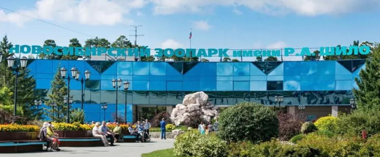 В Новосибирске открыли новую парковку возле зоопарка со стороны улицы Стасова. Новая стоянка вмещает 50 новых автомобильных мест. Об этом сообщил директор Новосибирского зоопарка Андрей Шило. В дальнейшем на парковке планируют установить автоматические шлагбаумы, терминалы для оплаты парковки и так далее. Посетители зоопарка смогут оплатить парковку по карте или по QR-коду. #новосибирск