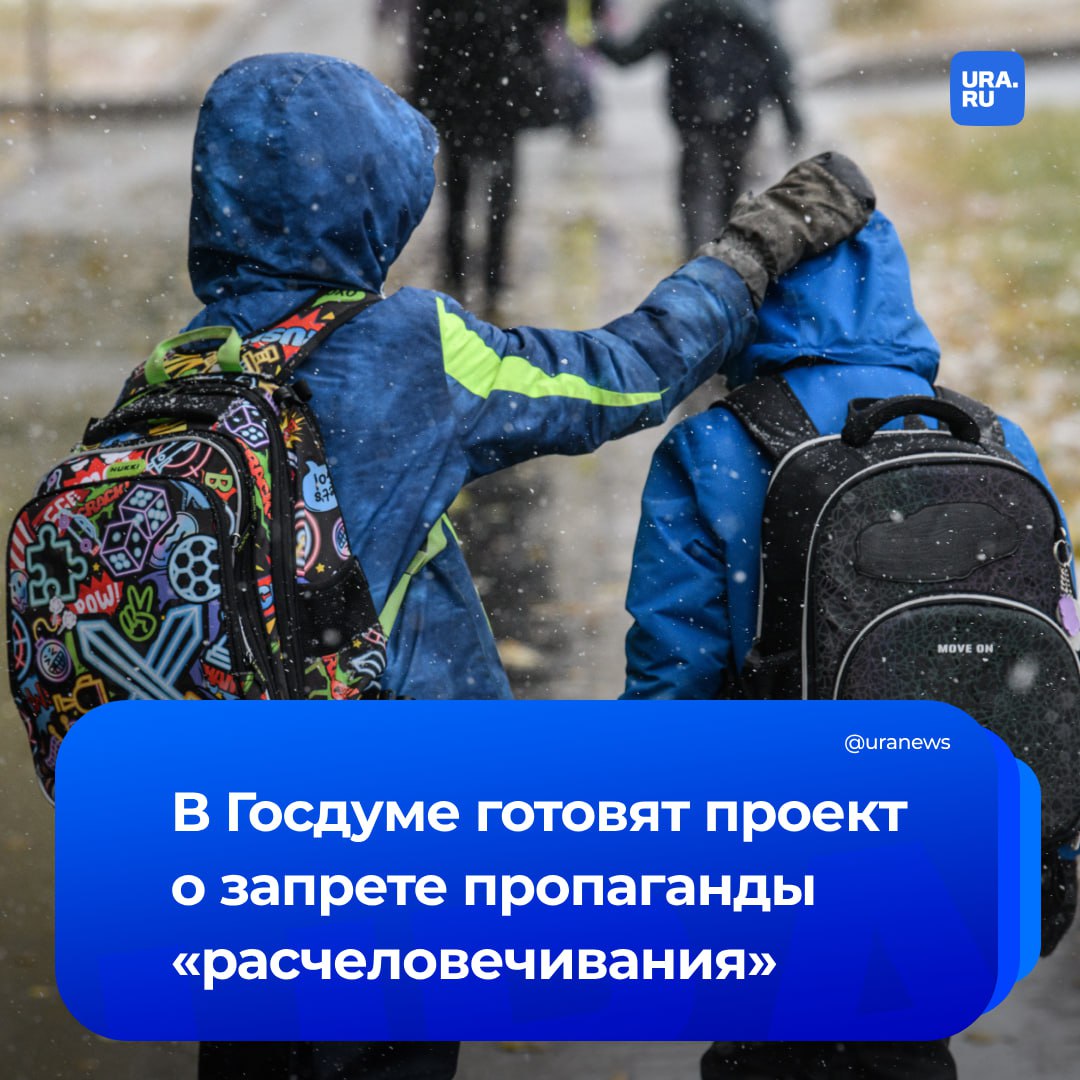 Запретить пропаганду «расчеловечивания» хотят в России. Соответствующий законопроект разрабатывают в Госдуме, сообщила первый зампред комитета ГД по защите семьи Татьяна Буцкая.  «Мы видим, насколько сейчас аккуратно, через различные группы в соцсетях, уже очень явно вползает идеология отказа от человеческой идентичности, которую продвигают через наших детей. Она изначально имеет вид некой детской игры, но со временем это подталкивает наших детей к тому, что заставляет их отказываться от человеческой идентичности, а значит — отказываться от тех законов, которые действуют для человека: как законов юридических, так и законов природы», — сказала Буцкая РИА Новости.  Она уточнила, что данный вид «игры» подразумевает, что если ты не человек, следовательно, никакие человеческие законы не работают. Например, запрещающие убийство, воровство, хранение и употребление наркотиков и другие.   По словам парламентария, документ запретит распространение информации, которая пропагандирует отказ от биологической и бытовой принадлежности человека. Он не затронет детские спектакли, утренники и фильмы, которые предполагают перевоплощение детей по сюжету.