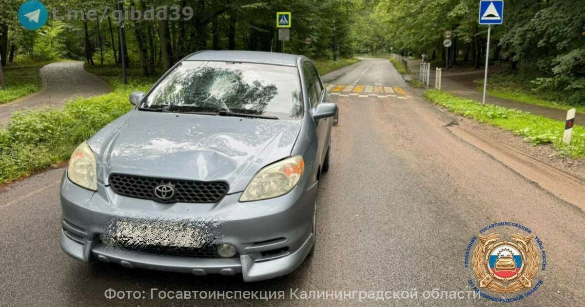 Под Светлогорском на зебре сбили двух пешеходов Под Светлогорском водитель автомобиля Toyota сбил двух пешеходов Об этом сообщает региональная Госавтоинспекция По оперативным данным инцидент произошёл в субботу 30 августа в 14 45 около посёлка Отрадное Пострадали 49 летний мужчина и 47 летняя женщина которые переходили дорогу по пешеходному переходу В результате ДТП пешеходы получили телесные повреждения и направлены в медицинское учреждение На месте происшествия работают сотрудники Госавтоинспекции устанавливаются все обстоятельства произошедшего