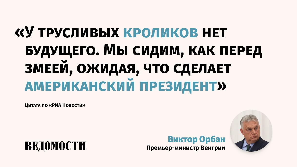 Евросоюз не должен смотреть на президента США Дональда Трампа, как трусливый кролик на удава, заявил премьер-министр Венгрии Виктор Орбан.  «Проблема в том, что лидеры Евросоюза и институтов ЕС сидят, как трусливые кролики в борозде, словно ожидая своей участи. <…> Это худшее, что мы можем сделать», – сказал Орбан  цитаты по «РИА Новости» .   По его словам, проблема Европы заключается в том, что европейские институты нельзя воспринимать всерьез: «нет серьезного партнера по переговорам, который бы инициировал европейско-американские переговоры с серьезными предложениями». Он считает, что эту роль могли бы взять на себя только Германия и Франция.    В противном случае экономика Европы пострадает не только в отношениях с США, но и «с Китаем, Россией и другими», так как «слабым нет пощады».    Подпишитесь на «Ведомости»