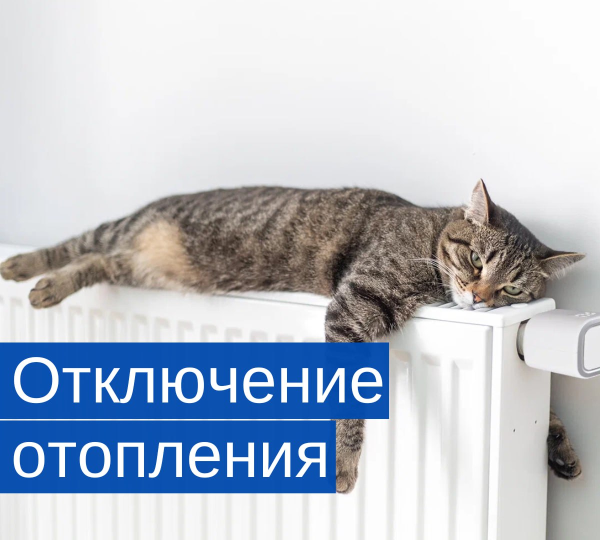 Когда в России отключат отопление?  Согласно Постановлению правительства России от 06.05.2011 №354  в редакции от 29.08.2024 , отопительный сезон заканчивается, когда среднесуточная температура воздуха на улице превышает +8 °C на протяжении пяти суток подряд.    Это правило носит рекомендательный характер. То есть отопление не могут отключить раньше установленного температурного порога, однако позже — вполне возможно.   Окончательное решение об отключении принимают органы местного самоуправления.  В большинстве российских городов отопление отключают с конца апреля по май, но в северных районах отопительный сезон может затягиваться до июня, а в некоторых регионах Дальнего Востока и Крайнего Севера централизованное отопление работает даже летом.    У вас в город уже пришла весна и тепло?    — Да, уже тепло   — Пока нет, лежит снег   — То тепло, то холодно