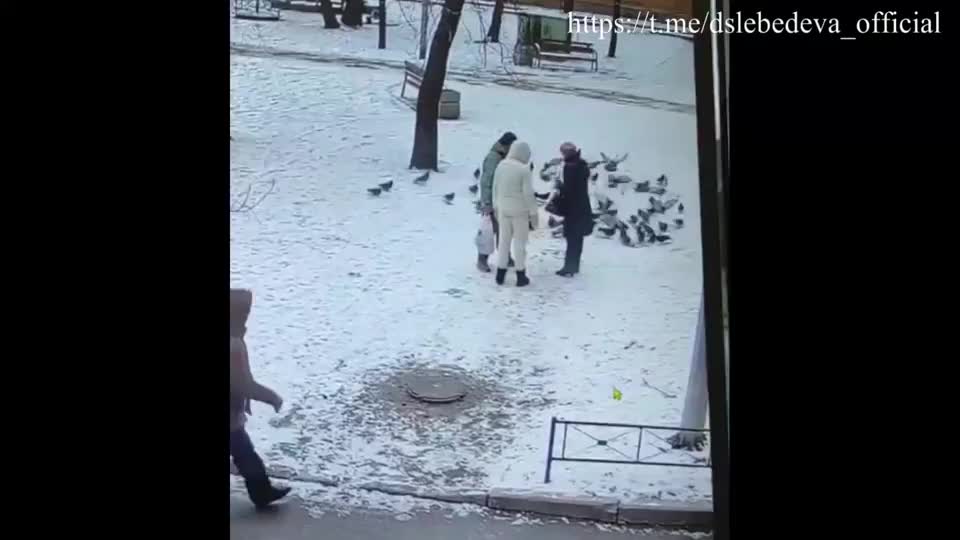 Конфликт в Санкт-Петербурге из-за кормления голубей завершился судебным разбирательством
