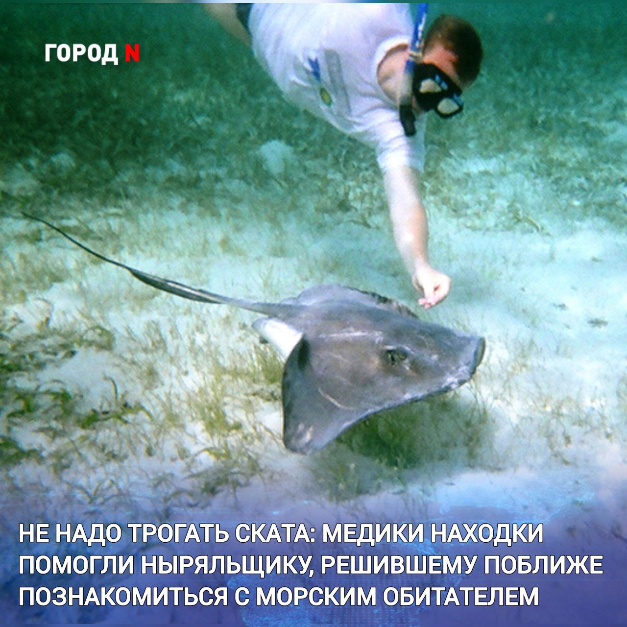 Мужчина обратился в травмпункт Находкинской больницы с множественными кровоточащими ранами рук среди которых глубокая рваная рана запястья По словам пациента серьёзные травмы он получил во время погружения с маской и ластами в бухте Прогулочной На глубине около трёх метров и примерно в двадцати метрах от берега ныряльщик встретил ската Попытка рассмотреть экзотическую рыбу поближе едва не обернулась трагедией хвостовой шип ската чуть не задел крупные сосуды на руке пловца Из за морской воды мужчина почти не чувствовал боли и не сразу понял насколько опасна ситуация кровотечение казалось незначительным Лишь выбравшись на берег он осознал масштаб ранений Первую помощь пострадавшему оказала жена после чего помогла доставить его в травмпункт Медики выполнили хирургическую обработку ран дальнейшее лечение пациент будет проходить амбулаторно Мужчина тепло поблагодарил врачей Находкинской больницы за профессионализм и внимательное отношение Редакция Города N желает любопытному горожанину скорейшего выздоровления и призывает быть осмотрительнее в выборе объектов столь пристального интереса