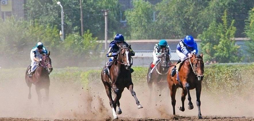 Ростовский ипподром незаконно не признали памятником Прокуратура Ростовской области выявила нарушения в работе комитета по охране объектов культурного наследия региона по вопросу ростовского ипподрома По данным ведомства комитет не принял решение о включении комплекса в перечень выявленных объектов культурного наследия ОКН несмотря на наличие необходимого заключения специалистов Об этом сообщает Эксперт Юг По результатам проведенной прокуратурой области проверки установлены допущенные комитетом по охране объектов культурного наследия Ростовской области нарушения требований федерального законодательства выразившиеся в несоблюдении порядка и сроков рассмотрения заявлений председателя Совета Ростовского регионального отделения ВОО ВООПИИК от 28 07 2020 и от 05 04 2021о включении Ростовского ипподрома его трибун и территории в перечень выявленных объектов культурного наследия цитирует издание ответ ведомства Подпишись на 1Rnd в МАХ Написать в редакцию