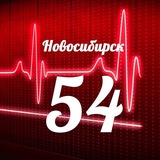 Аватар Телеграм канала: Мониторинг 54 Новосибирская область