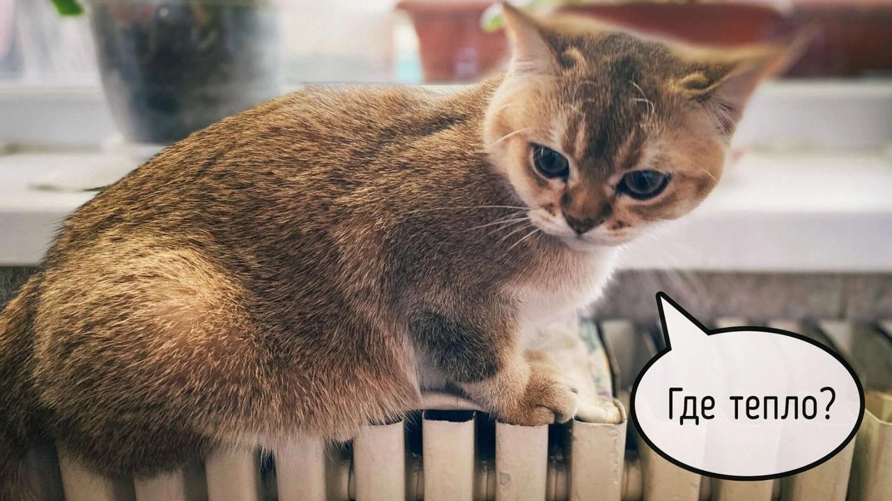 В Омске начали отключать отопление. С 5 мая в городе официально завершен отопительный сезон. Мэр Сергей Шелест подписал соответствующее постановление. За окном держится стабильно теплая погода, а значит, что пора переходить на летний режим. АО «Тепловая компания» уже приступила к отключению тепла в жилых домах, муниципальных учреждениях, объектах социальной сферы и других категориях потребителей. Горячую воду, как заверили специалисты, никто не отключает — все будет стабильно. Дальше — ремонтные работы и подготовка к следующей зиме. Отметим, что сегодня в Омске ожидается от +6 до +17, но из-за ветра до 15 м/с может показаться прохладнее. Так что куртки пока не прячьте. Готовы к отключению? Или хочется еще немного тепла? Написать в редакцию можно здесь.