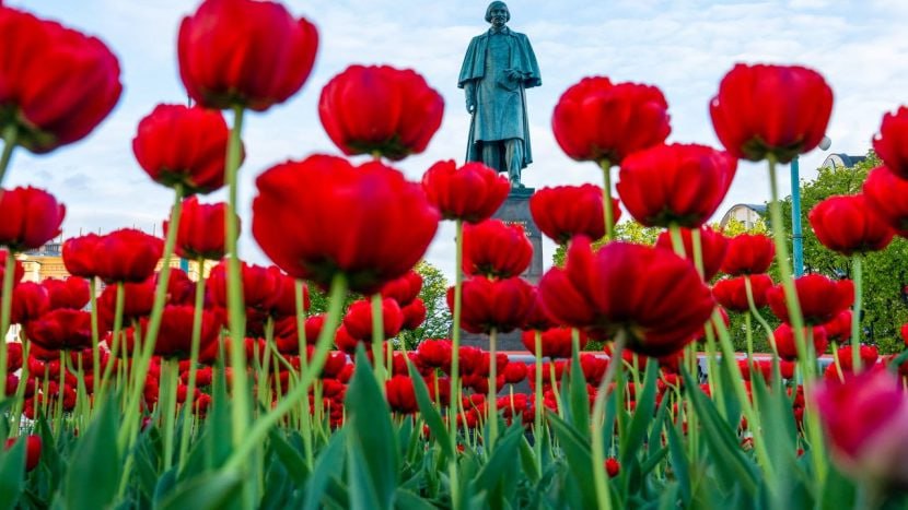 Высадка тюльпанов началась на столичные клумбы чтобы луковицы успели укорениться до наступления устойчивых отрицательных температур рассказал заммэра Москвы по вопросам ЖКХ и благоустройства Петр Бирюков Он отметил что традиционно тюльпаны распустятся к майским праздникам Всего будет высажено около 15 млн цветов общая площадь клумб составит почти 220 тыс квадратных метров moscow on air