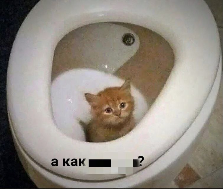 Туалеты на парковках возмущают депутатов Екатеринбурга Корреспондент ЕАН выяснил что депутатам не нравится как выглядят будки охраны и синие зеленые биотуалеты на муниципальных парковках Они предлагают унифицировать их внешний вид При этом по словам и о директора МБУ Городская служба автопарковок Марины Ярулиной на всех 55 муниципальных парковках которые есть в городе нестационарные объекты охраны то есть будки и так имеют уницфированный внешний вид По словам Ярулиной никаких замечаний от контролирующих органов на них не поступало Тем не менее депутаты считают что тандем будка туалет особенно когда они установлены на стоянках под окнами жилых домов вызывают вопросы и у населения Кроме того по словам депутата Игоря Володина платные автостоянки рядом с социальными объектами и магазинами также вызывают недовольство особенно у ветеранов которые вынуждены платить за парковку пока ходят за продуктами Вопрос про будки и туалеты предлагается передать на контроль департаменту архитектуры города чтобы так сказать сделать их более гармоничными и вписывающимися в городской ландшафт EanNews