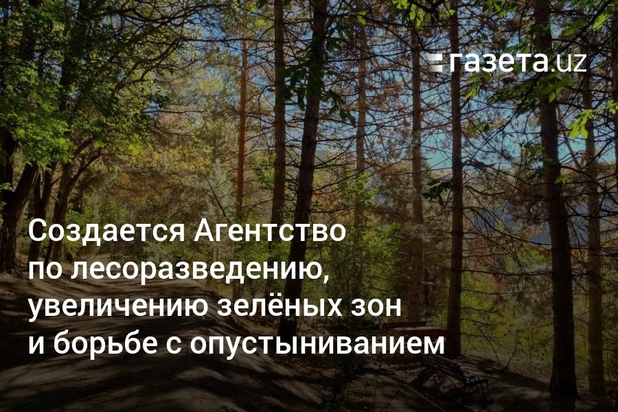 Создаётся Агентство по лесоразведению, увеличению зелёных зон и борьбе с опустыниванием. Оно займётся цифровым учётом лесов, развитием питомников, внедрением «умного» лесного хозяйства и реализацией общенационального проекта «Яшил макон». Telegram Instagram YouTube