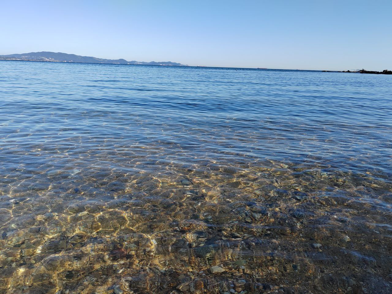 В Приморском крае по иску природоохранной прокуратуры рыбоводной организации запрещено осуществлять деятельность на рыбоводном участке Канал Хасанского округа Владивостокской межрайонной природоохранной прокуратурой проведена проверка исполнения ООО НПКА Нереида природоохранного законодательства Установлено что организация в отсутствие положительного заключения государственной экологической экспертизы осуществляет хозяйственную деятельность по аквакультуре на рыбоводном участке в границах охранной зоны Морского заповедника Такая деятельность на территории заповедника запрещена С целью устранения нарушений закона природоохранный прокурор обратился в суд Решением Хасанского районного суда Приморского края ООО НПКА Нереида запрещено осуществлять деятельность на рыбоводном участке в границах Морского заповедника в том числе изымать донные организмы водолазным способом осуществлять любую рыбохозяйственную деятельность организовывать рыбопромысловые и рыбоводные участки При вступлении решения суда в законную силу природоохранная прокуратура обеспечит контроль за его исполнением МЫ В МАХ