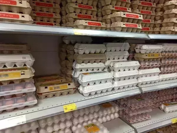 В Ростовской области упали показатели производства мяса, молока и яиц в 2025 году  Об этом свидетельствуют данные Ростовстата.  По опубликованным данным, на первое июля 2025 года в хозяйствах области насчитывается 576,7 тысяч голов крупного рогатого скота. Эти показатели на 13% ниже статистических данных прошлого года.  За январь-июнь 2025 года в регионе на убой произведено 187,1 тысяч тонн скота и птицы. По сравнению с показателями 2024 года это меньше на 2,9%. Производство молока составило 486,5 тысяч тонн, что оказалось на 6,2% меньше данных за предыдущий период. Больше всего сократился выпуск яиц - 679,7 миллионов штук или на 18,9% меньше 2024 года.