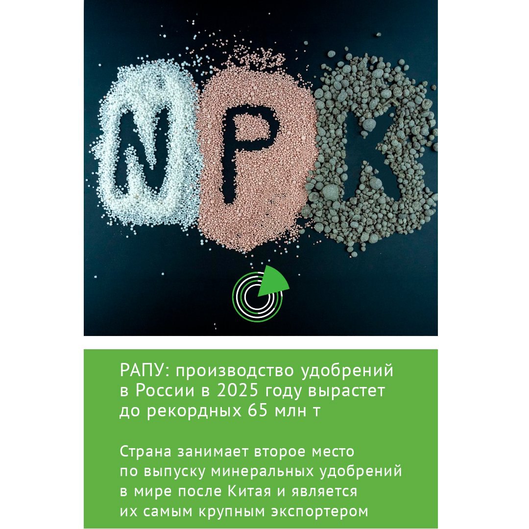 РАПУ ПРОИЗВОДСТВО УДОБРЕНИЙ В РОССИИ В 2025 ГОДУ ВЫРАСТЕТ ДО РЕКОРДНЫХ 65 МЛН Т Объем выпуска минеральных удобрений и агрохимии в России растет По прогнозам Российской ассоциации производителей удобрений РАПУ производство всех видов удобрений в стране в 2025 году вырастет до 65 млн т с рекордных 63 млн т годом ранее Страна занимает второе место по выпуску минеральных удобрений в мире после Китая при этом является самым крупным их экспортером с долей на мировом рынке в 18 Российские производители химических средств защиты растений также добились большого прогресса с 2014 года доля их продукции на внутреннем рынке выросла с 38 до 70 рассказывает заместитель исполнительного директора Российского союза производителей химических средств защиты растений Виктор Григорьев Произошло это благодаря эффективной работе отрасли и поддержке руководства страны отмечает он Подробнее   clck ru 3QQ8FA
