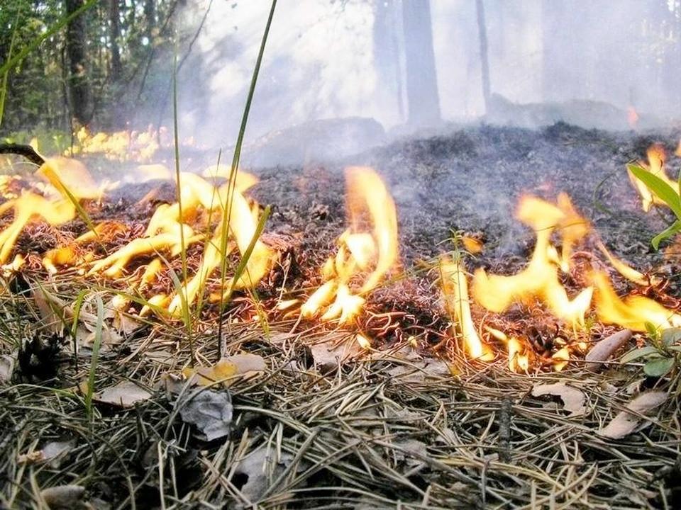 Херсонщина борется с последствиями жары и вражеских обстрелов Херсонская область продолжает жить в напряженном ритме – жара и, к сожалению, последствия боевых действий, привели к серии пожаров, которые потребовали оперативного вмешательства спасателей. За прошедшие сутки 20 июня огонь бушевал как в жилых секторах, так и в природе. В жилых домах огненная стихия разыгралась в Новониколаевке Ивановского округа, Геническе ул. Энгельса , Рубановке Великолепетихского округа и Аскании-Нова ул. Центральная . В каждом случае пожарные боролись с пламенем, чтобы не допустить его распространения и минимизировать ущерб для местных жителей. Ситуация с природными пожарами остается напряженной. Пять ландшафтных пожаров были ликвидированы, однако наибольшие опасения вызвали возгорания в Нижнесерогозском и Каланчакском округах.