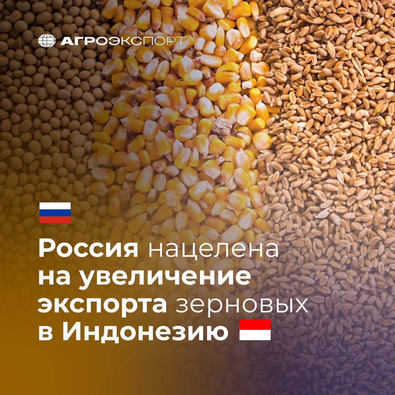 Россия нацелена на увеличение экспорта зерновых в Индонезию На сайте Россельхознадзора опубликована информация о доступе основных видов зерновых и масличных культур из России на рынок Индонезии Непосредственно к поставкам допущены пшеница соя кукуруза включая кукурузную муку и ячмень Согласно оценкам экспертов российский экспорт зерновых в Индонезию по итогам 2024 года составил более 1 3 млн тонн на сумму более 310 млн долл США Пошлины Пшеница и меслин 0 5 Кукуруза 0 5 Закупки кормовой пшеницы Индонезией де факто регулируются механизмами схожими с квотированием однако нормативного подтверждения такой практики в открытых источниках нет Что касается кукурузы то индонезийское правительство предоставило государственной компании BULOG индонез Badan Urusan Logistik исключительное право на ввоз кормовой кукурузы Только BULOG может импортировать кормовую кукурузу при соблюдении обязательного условия прямой поставки местным мелким фермерам птицеводам В 2024 году Правительство Индонезии выделило BULOG квоту в размере 750 тыс тонн В случае вступления в силу Соглашения о свободной торговле между ЕАЭС и Индонезией для экспорта зерновых из России будет применяться преференциальный режим различных модальностей включая снижение пошлины на пшеницу с 5 до нуля по одному процентному пункту в год с момента начала действия соглашения Это важное Соглашение для наших поставщиков поскольку Индонезия является крупнейшим импортером зерна в Юго Восточной Азии У Австралии имеется преференциальное соглашение с Индонезией а у Украины не имеется поэтому получение нулевой пошлины при поставках пшеницы в Индонезию было бы хорошим подспорьем для наших экспортеров сказал руководитель Агроэкспорта Илья Ильюшин в преддверии деловой миссии Союза экспортеров и производителей зерна с Республикой Индонезия Согласно оценкам экспертов за 8 месяцев 2025 года Россия поставила в Индонезию около 123 тыс тонн зерновых на 29 млн долл США Поставка была осуществлена в январе текущего года агроэкспорт новостиАПК
