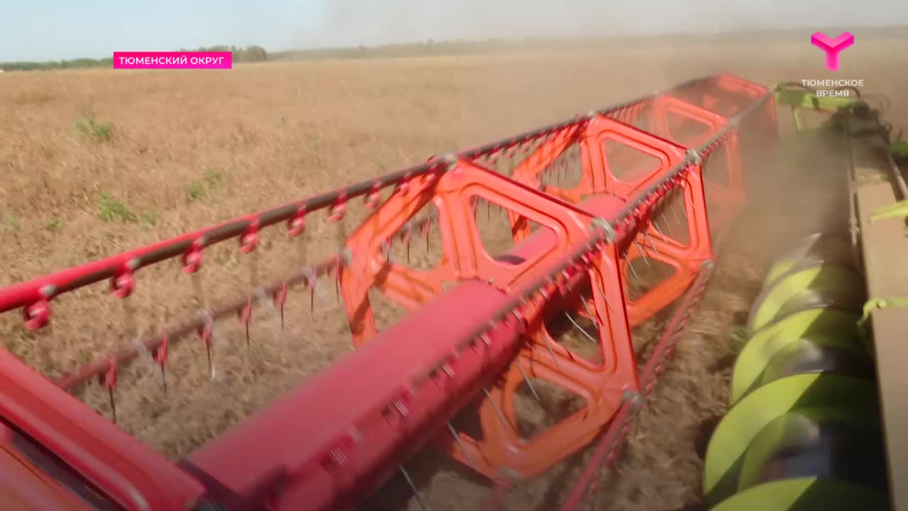 Уборочная кампания в Омутинском и Самарском районах: механизаторы используют современные технологии