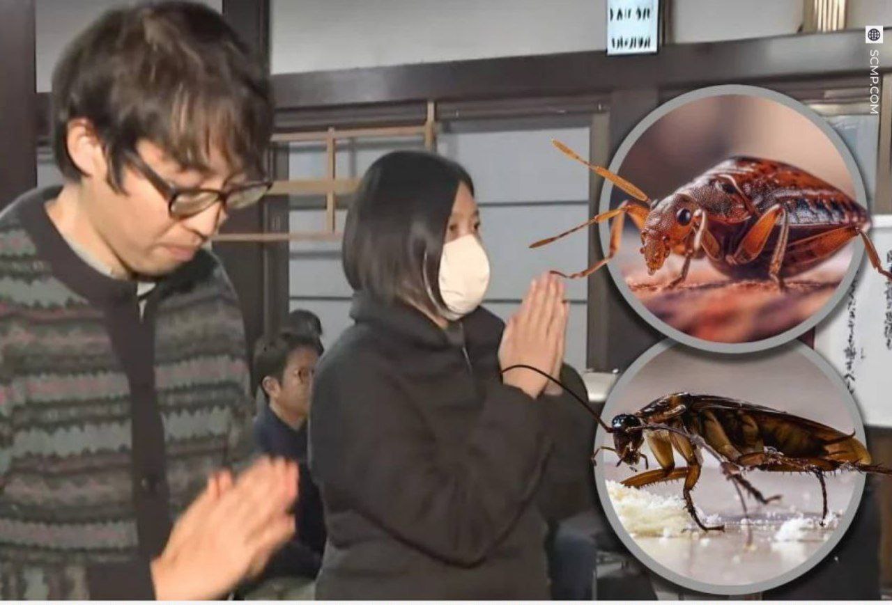 Компания средств от насекомых уже 40 лет молится за погибших тараканов и блох Ежегодно около ста сотрудников собираются в буддийском храме Во время церемонии монах читает сутры а работники жгут благовония и молятся за насекомых погибших во время лабораторных испытаний Представители компании признаются изначально они считали ритуал странным но со временем поняли что он помогает осознать ценность любой жизни Как говорится заставь дурака Ну вы знаете