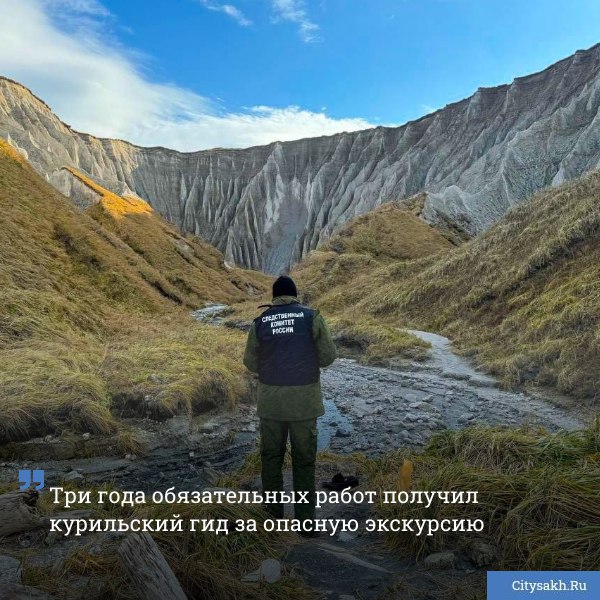 Нападение медведя на туриста во время экскурсии привело гида на скамью подсудимых на Итурупе   citysakh ru news 122704