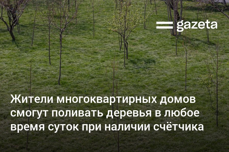 В Узбекистане теперь разрешён полив деревьев и кустарников в любое время суток при условии что у потребителей есть приборы учёта воды Управляющие компании должны инвентаризировать все деревья на территории у многоквартирных домов   www gazeta uz ru 2026 02 10 trees Telegram Instagram YouTube