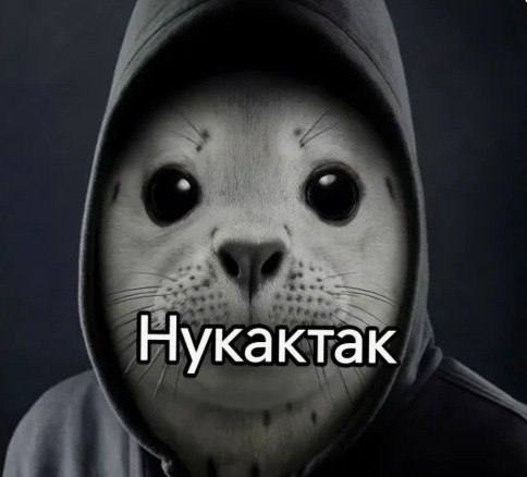 Проезд по шести автобусным маршрутам подорожает в Иркутске Платить больше теперь придется в автобусах   5к м р Солнечный Сибэкспоцентр Ц Рынок м р Солнечный Сибэкспоцентр   9 Ц Рынок с Дубинина   11к Бульвар Постышева Ц Рынок   17 м р Солнечный ЖК Море солнца Ц Рынок   23 Ц Рынок Реабилитационный центр   49 м р Топкинский Автовокзал Ц Рынок Ж Д Вокзал Автовокзал м р Топкинский   IrkutskMedia теперь в МАX